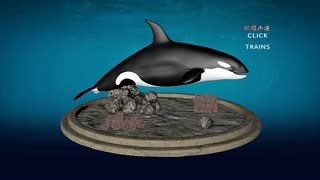 动物特种部队 第二季2