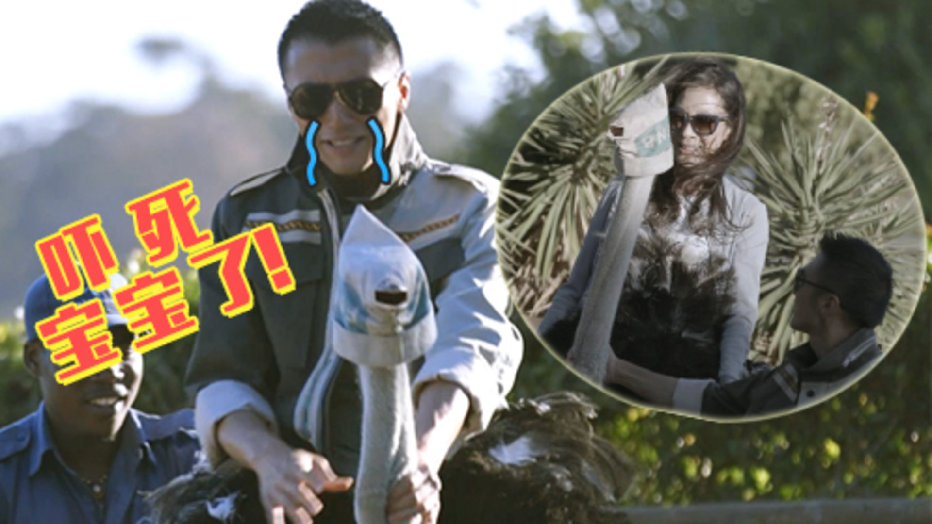 第8期：谢霆锋杨紫琼南非骑鸵鸟