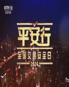 平安行2024 海报