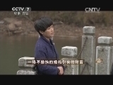 致富经 《致富经》 20150204 一场不愉快的婚礼引发的财富