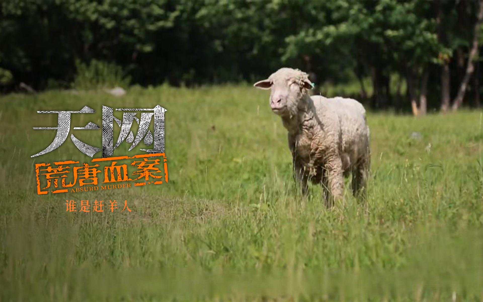 天网:荒唐血案 遗书