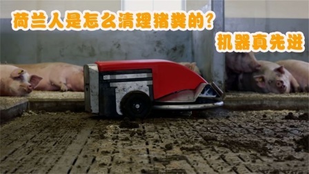 机械控 荷兰人是怎么清理猪粪的？全自动机械化，这样的扫地机器人靠谱吗