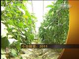 经济信息联播 经济信息联播 2011-05-03