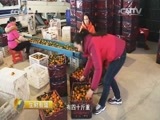 生财有道 《生财有道》 20160104 精准扶贫 小康中国系列：屯子里的脱贫致富带头人