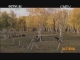 远方的家 百山百川行 第一百四十五集 多情的阿尔泰山《远方的家》 20131121