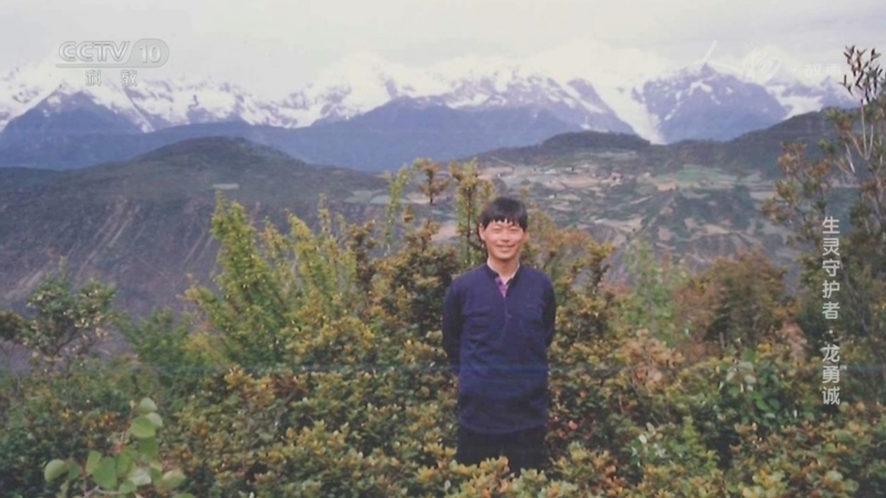 《人物·故事》 20260223 生灵守护者·龙勇诚