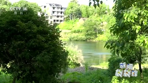 新闻袋袋裤 《新闻袋袋裤》 20200623