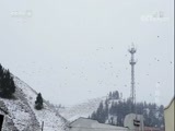 《真相》 20171005 中国队长 第八集 追雪豹的人