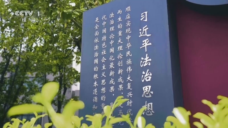 《习近平法治思想系列讲读》 第1集 奉法者强则国强