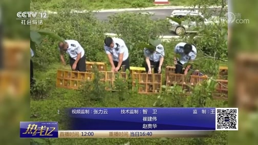 热线12 《热线12》 20190725