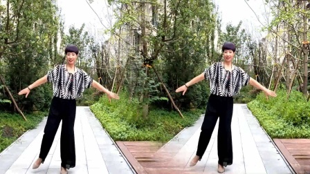 《女儿情》16步简单欢快，跳起来非常好看