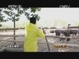 生财有道 《生财有道》 20140729 刘博士的鸵鸟经