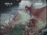 人与自然 《人与自然》 20120605 自然发现 狂野非洲——山脉（下）