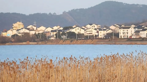 湖北新闻20210314