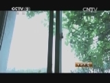 生财有道 《生财有道》 20140505 木瓜树上结出金元宝