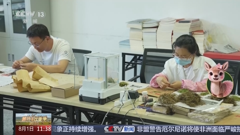 新闻直播间 《新闻直播间》 20260801 11:00