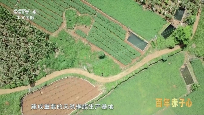 《华人故事》 20211023 百年赤子心 第四集 突破封锁