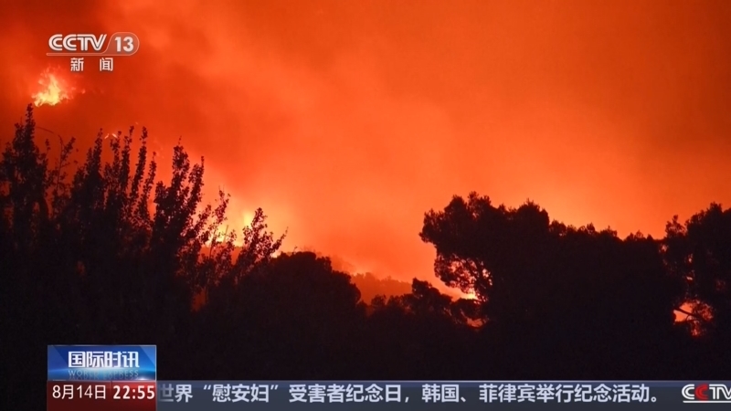 国际时讯 《国际时讯》 20260814