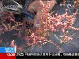 法治在线 法治在线 2009-10-07