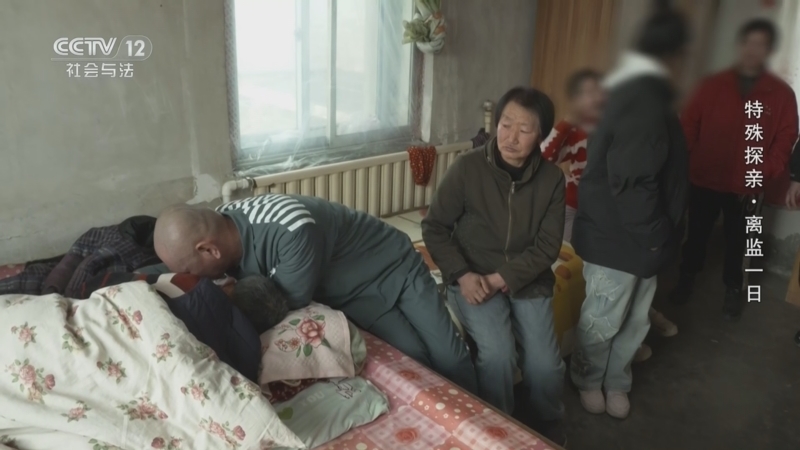 《从心开始》 20260301 特殊探亲·离监一日