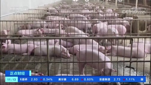 中国财经报道 《正点财经》 20191119 11:00