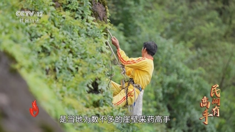 道德观察 《道德观察(日播版)》 20250225 民间有高手——绝壁采药