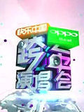 湖南卫视2012跨年晚会