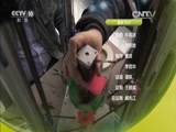 我爱发明 《我爱发明》 20160429 快收毛豆