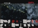 自然传奇 《自然传奇》 20120319 暗夜动物 （二）