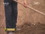 生财有道 《生财有道》 20160531 生态中国系列——转型转来生态财