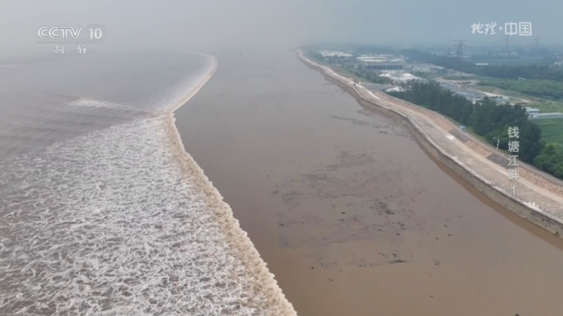 地理中国 《地理·中国》 20241108 钱塘江畔1