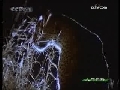 人与自然 人与自然 2009年 第20期