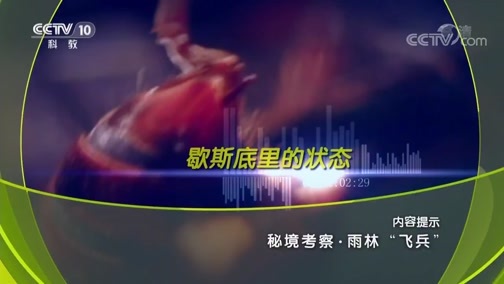地理中国 《地理中国》 20190424 秘境考察·雨林“飞兵”