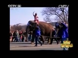 新闻袋袋裤 《新闻袋袋裤》 20150310