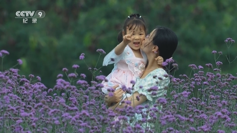 《去有光的地方》 第2集 公园与稻田的交响乐