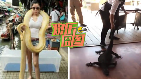 欢乐囧图 威猛女神单手擒拿巨兽