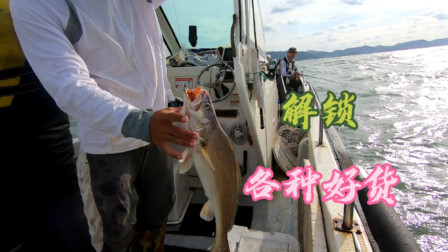 大风浪天阿杰带粉丝挑战东海，解锁各种值钱好货，这鱼钓的太刺激