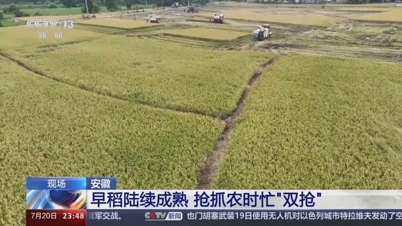 24小时 《24小时》 20240720