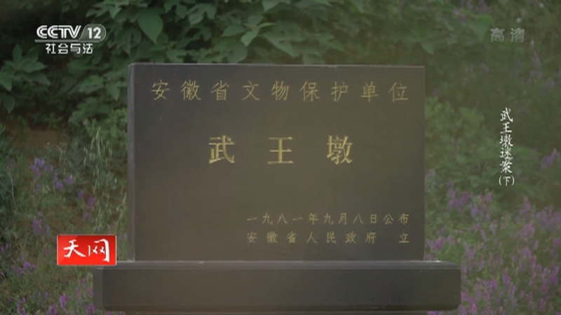 《天网》 20210810 武王墩迷案（下）