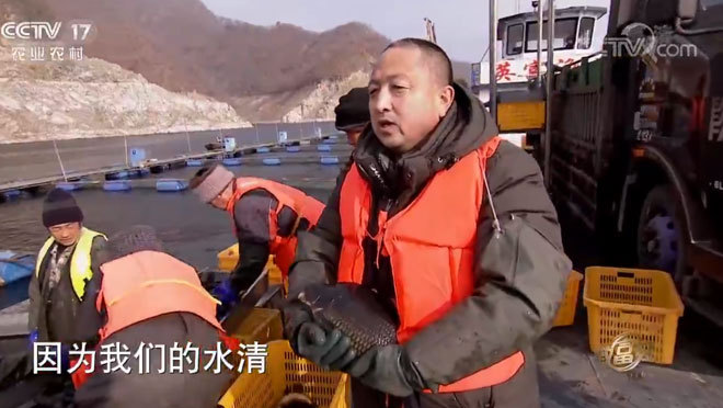 致富经 《致富经》 20200228 赔光1000万元 鸭绿江里翻身