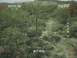 地理中国 《地理中国》留山传奇（下）20140912