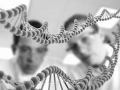 传奇故事2019 一份“待命”20年的嫌犯DNA