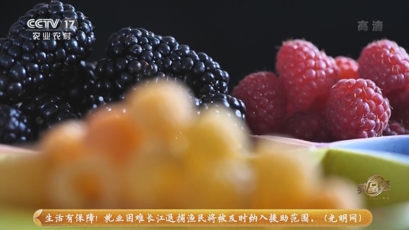 《致富经》 20210625 给树莓搬家 让财富翻倍