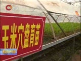 重庆新闻联播 《重庆新闻联播》 20170320