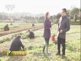 生财有道 《生财有道》 20170320 话说获得感系列——转型转出来的获得感