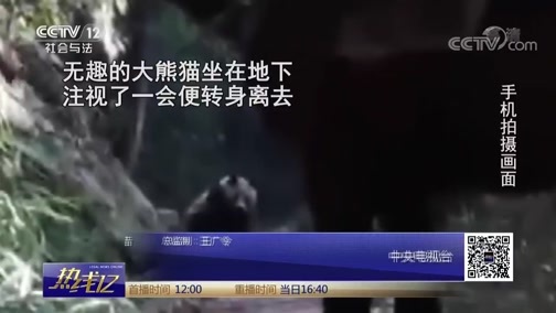 热线12 《热线12》 20181010
