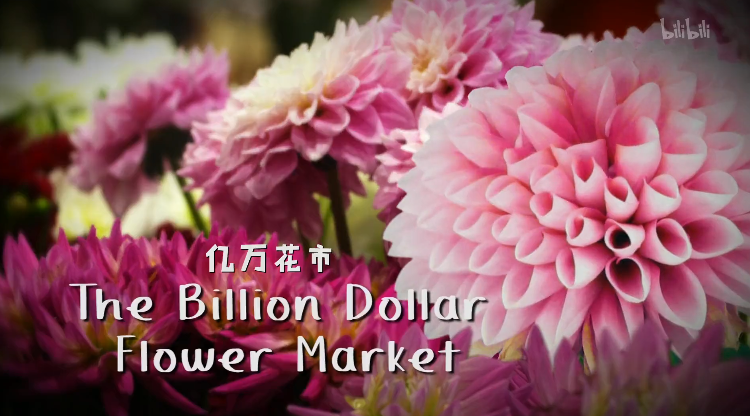 The Billion Dollar Flower Market