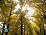 新闻联播 新闻联播完整版视频 20150518