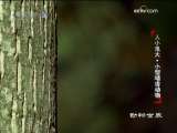 动物世界 动物世界 2009年 第199期