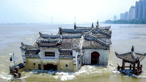 1818黄金眼 1818黄金眼